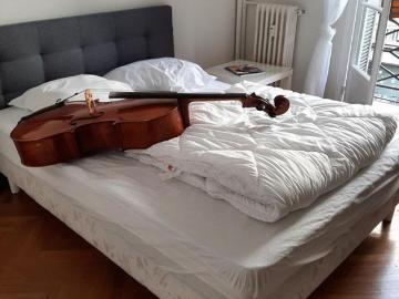 louer Chambre à Alpes