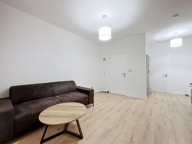chambre en collocation