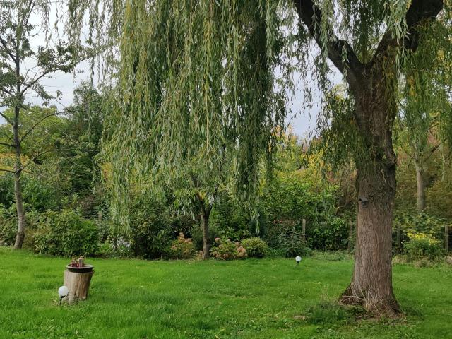 Chambre privée à louer à Gerpinnes, Allée Pré Magnette