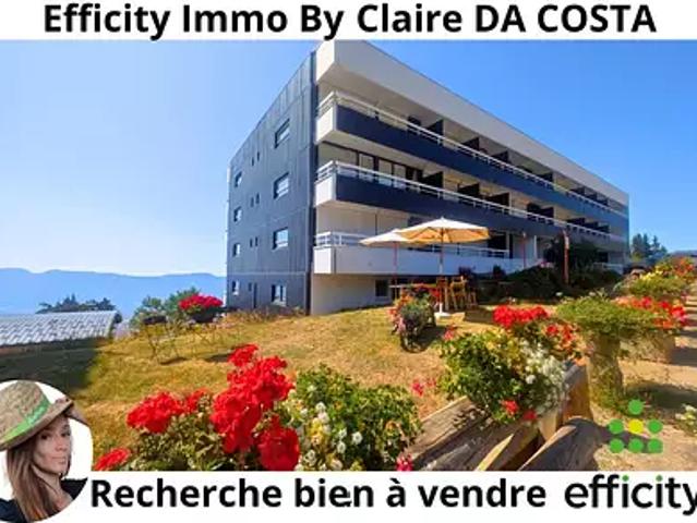 Chamrousse 38410 Achat / Vente appartement 1 pièce t1 cave