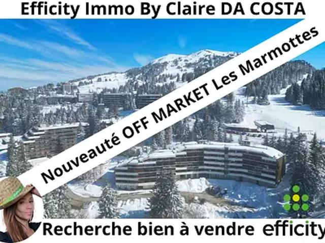 Chamrousse 38410 Achat / Vente appartement 2 pièces t2 cave