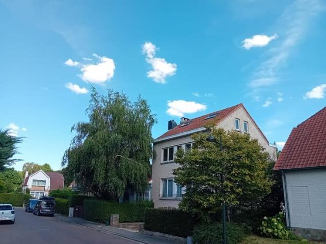 Chant d'Oiseau EEB3