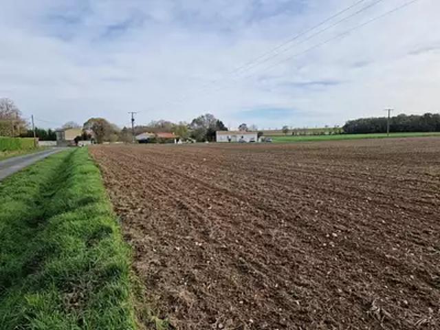 Chantemerle sur la Soie 17380 Programme neuf maison neuf à vendre 4 pièces