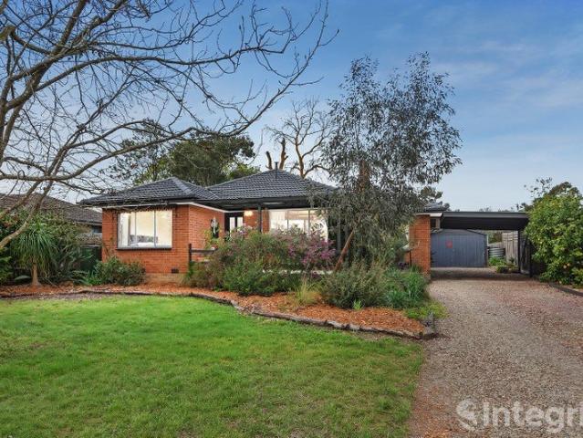 Character and Entertaining the ultimate Coldstream Lifestyle Bundle