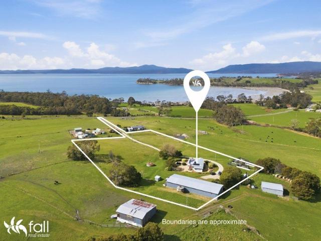 Character Filled Country Homestead on Approximately 5 Acres