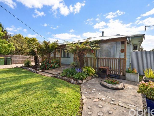 Character, Space and a Shed to Match. Can you Picture it?