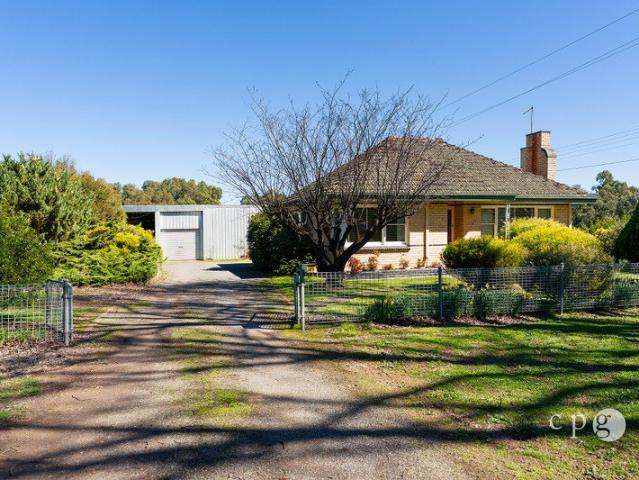 Character, Space & Serious Shedding in the Heart of Newstead