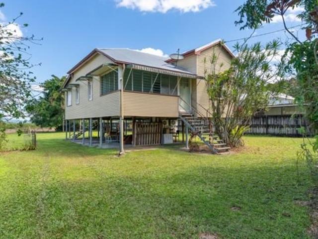 CHARACTER QUEENSLANDER