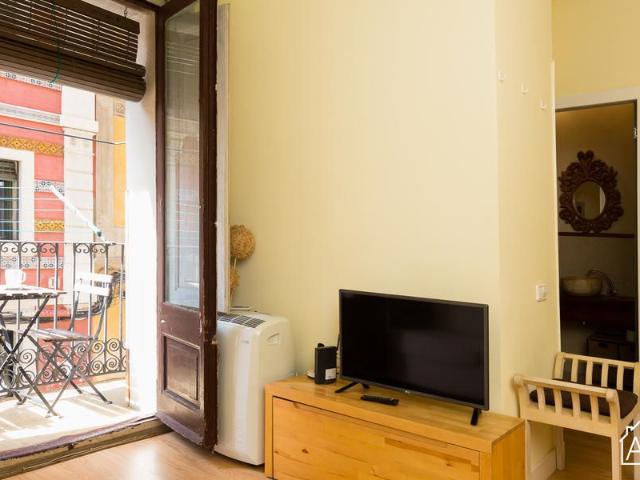 Characterful 1 Bedroom Apartment Near Barceloneta Beach