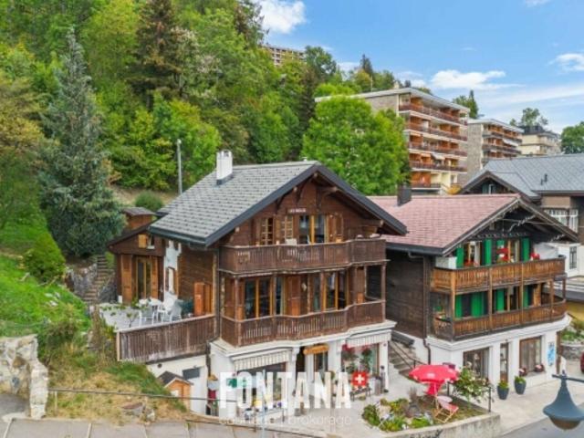 Charakter Chalet mit Mietrendite