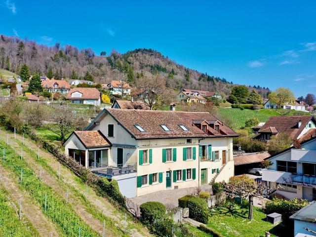 Charakterhaus zwischen Weinbergen und See, nahe Nyon