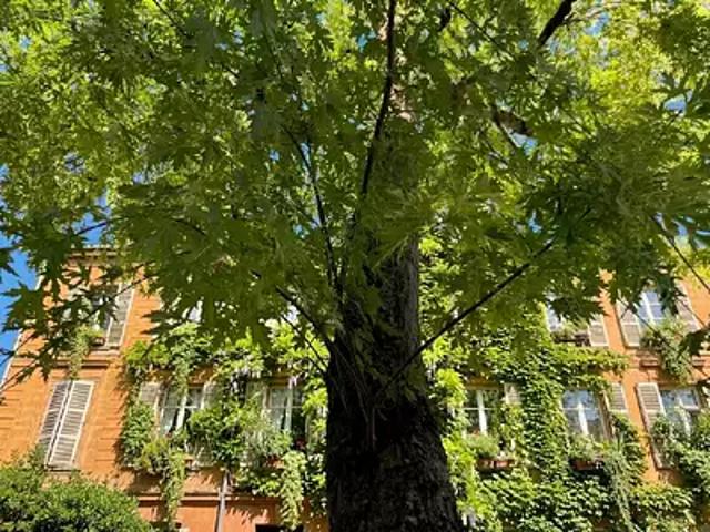 Charleville Mézières 08000 Achat / Vente appartement 9 pièces t9