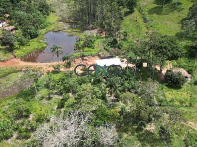 Charmosa e ótima fazenda de 148,13 ha na região de Guanhães MG