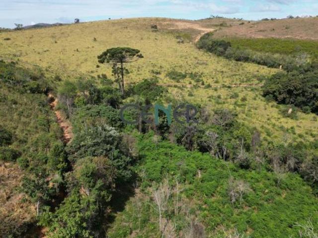 Charmosa fazenda de 75 ha na região de Juiz de Fora MG