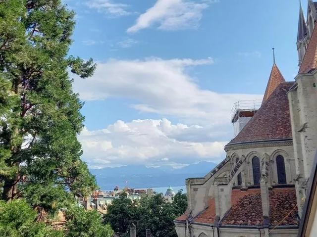 Charmant 4.5 pièces en duplex au coeur de la cité