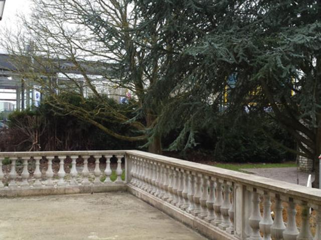 Charmant T1 au milieu d'un grand jardin fruitier