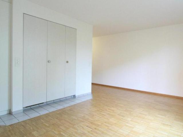 Charmant appartement 1 pièce avec une distribution pratique