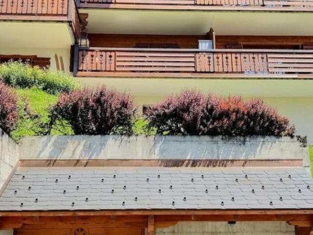 Charmant appartement 3,5 pièces avec agréable terrasse et jardin