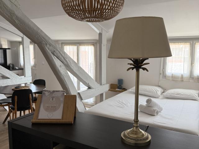 Charmant appartement centre ville, idéal investisseur