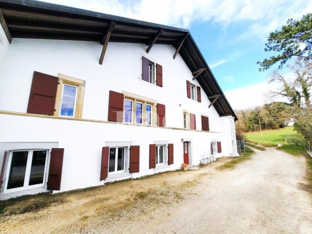 Charmant appartement de 3.5 pièces avec jardin.
