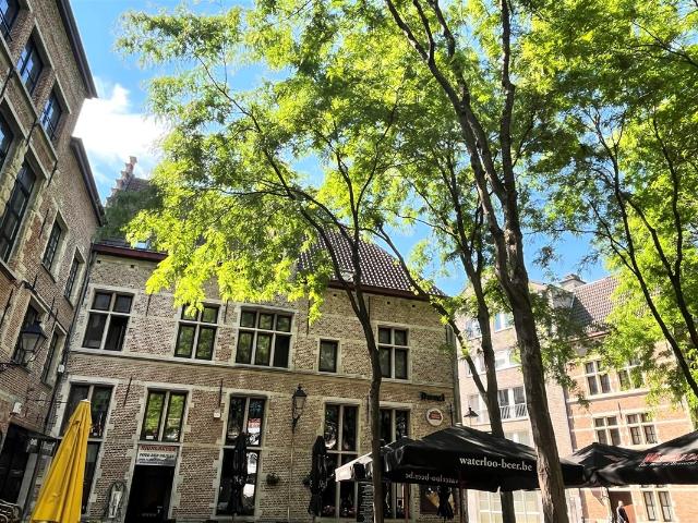 charmant appartement in hartje antwerpen!