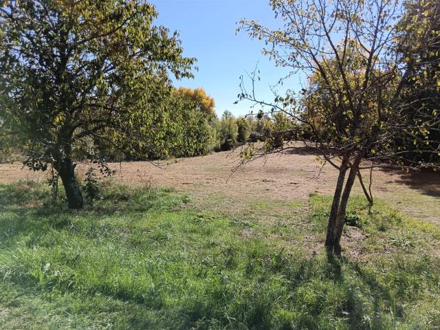 Charmant chalet de 35 m2 avec terrasse couverte 33m² Saint Martin de Lerm