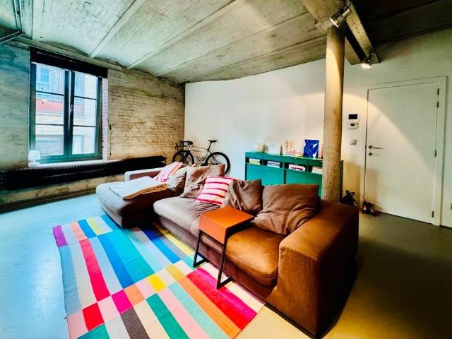 Charmant dakappartement in loftstijl in het hart van het Patershol