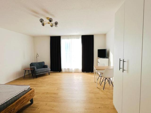 Charmant möblierte 1 Zimmer Wohnung in der Unteren Au