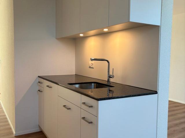 Charmante 3.5 Zimmer Dachwohnung in Wädenswil – modern renoviert und sonnig gelegen