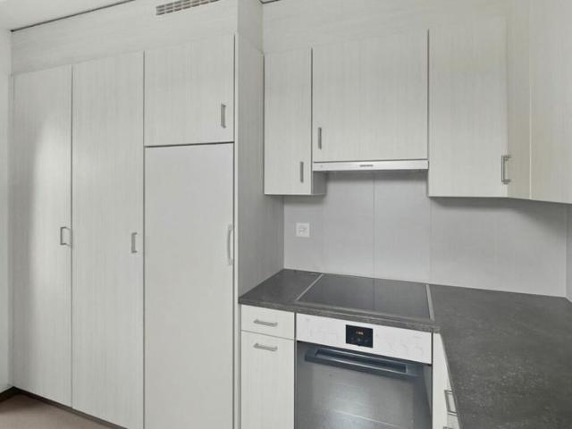 Charmante 3 Zimmer Dachwohnung an zentraler Lage in Schwarzenbach zu vermieten