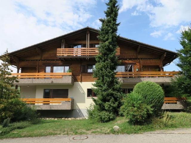 Charmante 3½ Zimmer Wohnung im Chalet