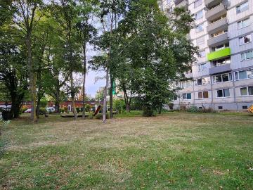 Apartment for sale in Wiesdorf - Keller