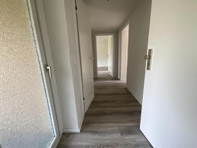 Charmante 3 Zimmer Wohnung in Duisburg Wanheimerort – ideal für Singles, Paare oder kleine Familien