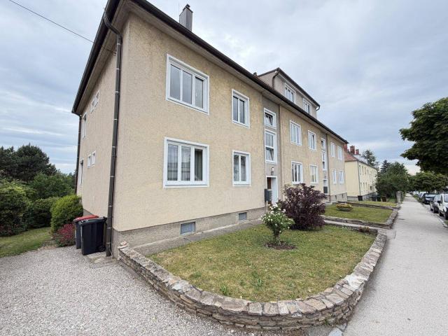 Charmante 3 Zimmer Wohnung mit Garten in Hollabrunn € 129.000,00