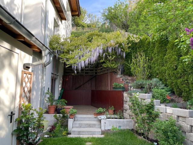 Charmante 3‑Zimmer‑Wohnung mit großem Garten & moderner Ausstattung
