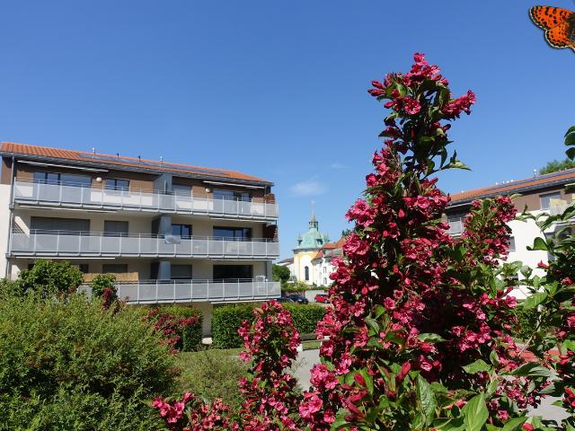 CHARMANTE 3 ½ ZIMMER – Zentrum von Marsens