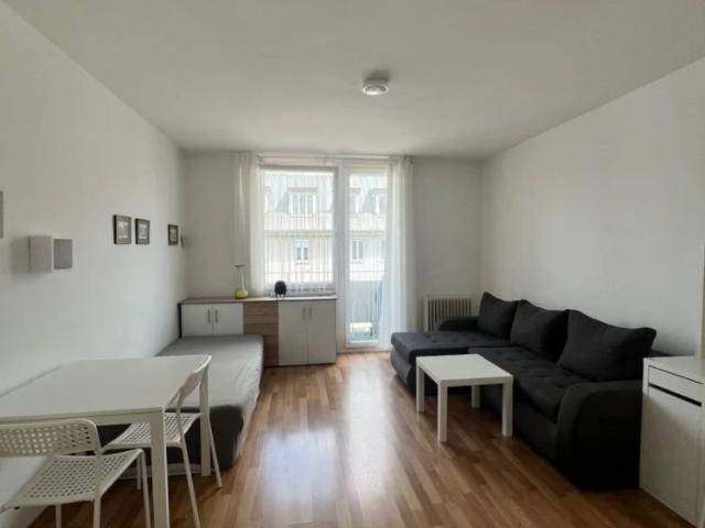 Charmante 1 Zi Wohnung mit Balkon in 1100 Wien inkl. Heizkosten