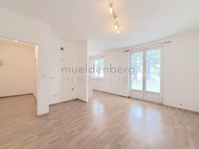 Charmante 1 Zi Wohnung in Mödling, 31m², Loggia, Einbauküche!