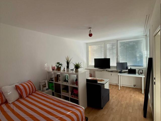 Charmante 1 Zimmer Wohnung mit Balkon in Aigen – ruhige Lage direkt an der Salzach
