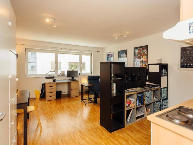Charmante 1 Zimmer Wohnung mit Einbauküche in Graz Geidorf