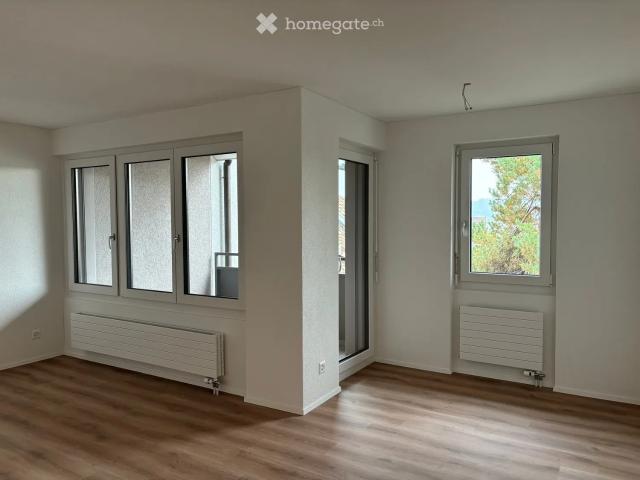 Charmante 2.5 Zimmer Wohnung mit Balkon und Seenähe in Wädenswil