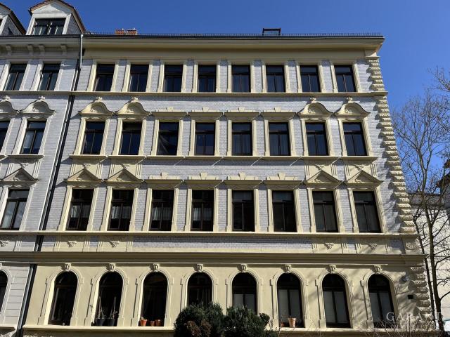 Charmante 2 Zimmer Altbauwohnung in Leipzig Plagwitz