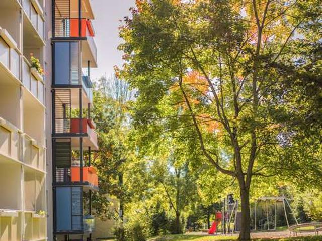 Charmante 2 Zimmer Wohnung mit Balkon