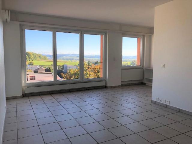 Charmante 4.5 Zimmer Wohnung mit Balkon