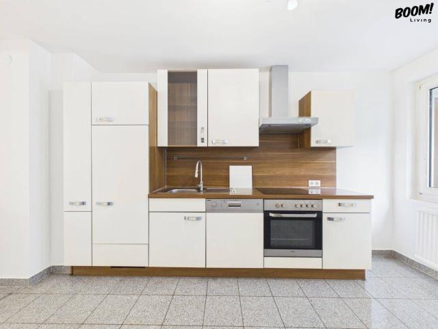 Charmante 4 Zi Wohnung mit 2 Loggien, Einbauküche & Lift im 1080 Wien! Auch WG geeignet