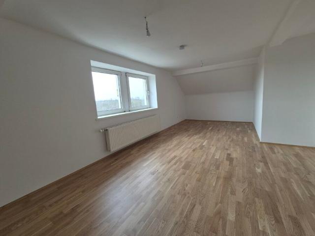 Charmante 4 Zimmer Altbau Mansarden Wohnung mitten in Ebelsberg im 3. Stock *kein Lift
