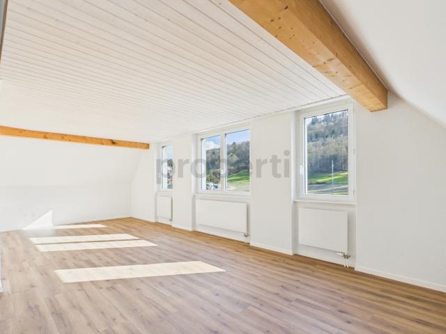 Charmante 4 Zimmer Maisonette Wohnung mit Dachgeschoss Charme in Feuerthalen