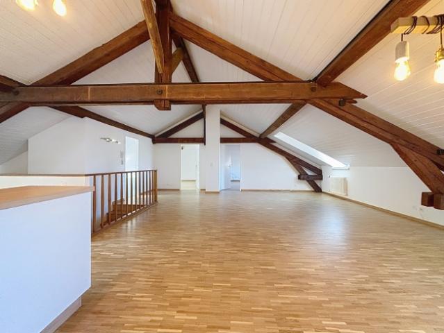 Charmante 4 Zimmer Wohnung im Herzen von Carouge