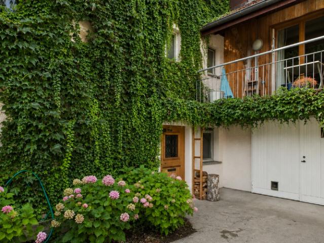 Charmante 6.5 Zimmer Detached House mit Bergsicht, Freudwil