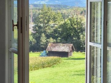 Charmante Altbauwohnung